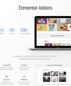 Addons for Elementor Pro (Premium)